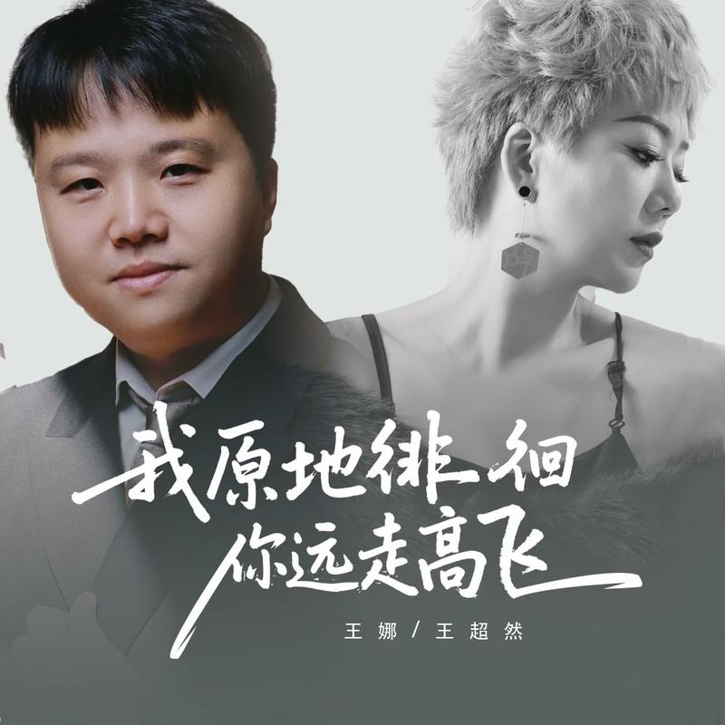 我原地徘徊你远走高飞 (DJ合唱版)封面