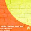 Tommie Sunshine - Brick by Brick (Valy Mo Remix)