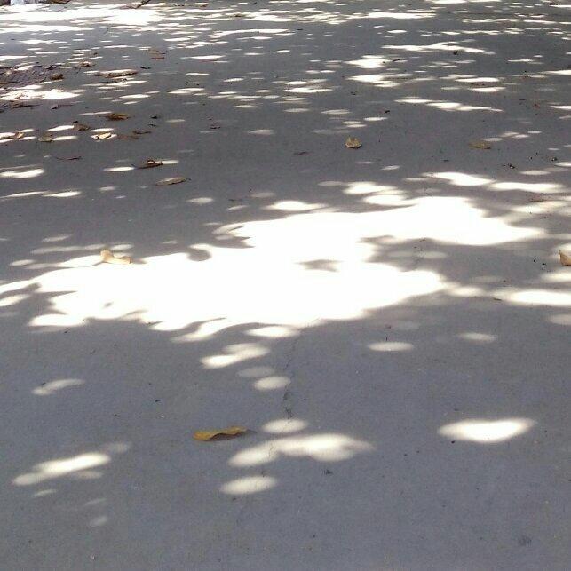 claire de lune｜爱上德彪西