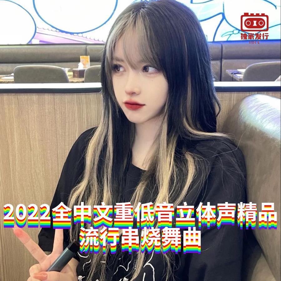 DJ国飞-2022全中文重低音立体声精品流行串烧舞曲(DJ国飞 remix)封面
