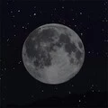 越南魔性神曲封面