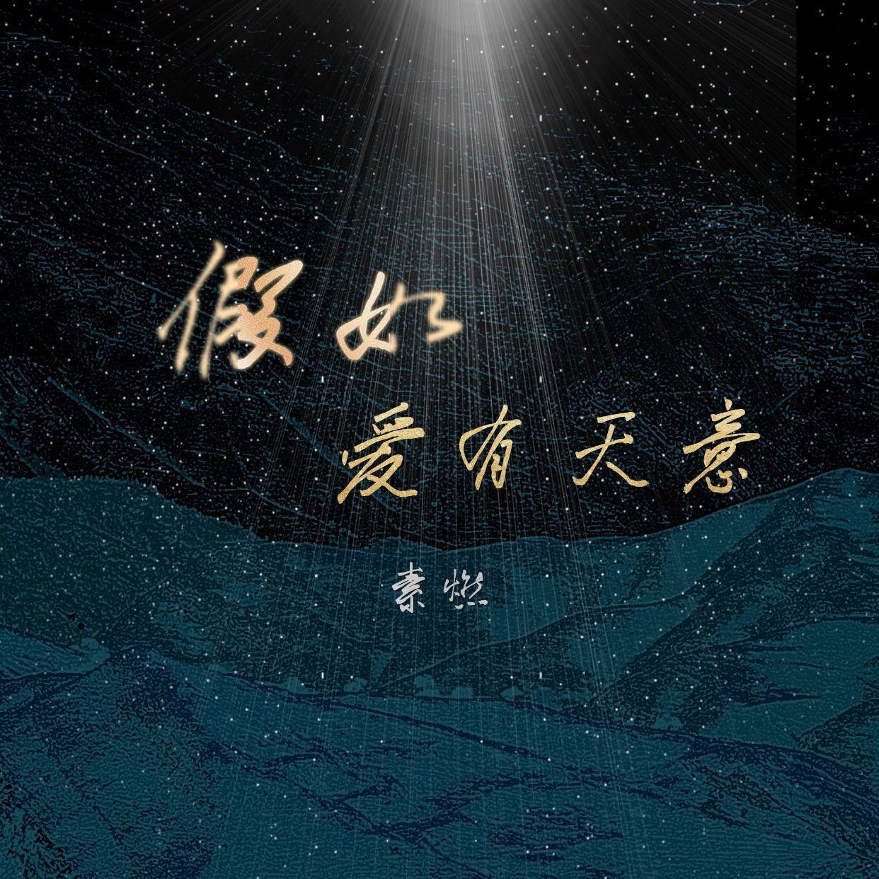 假如爱有天意封面