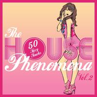 The HOUSE Phenomena - 50 **** Tracks, Vol. 2