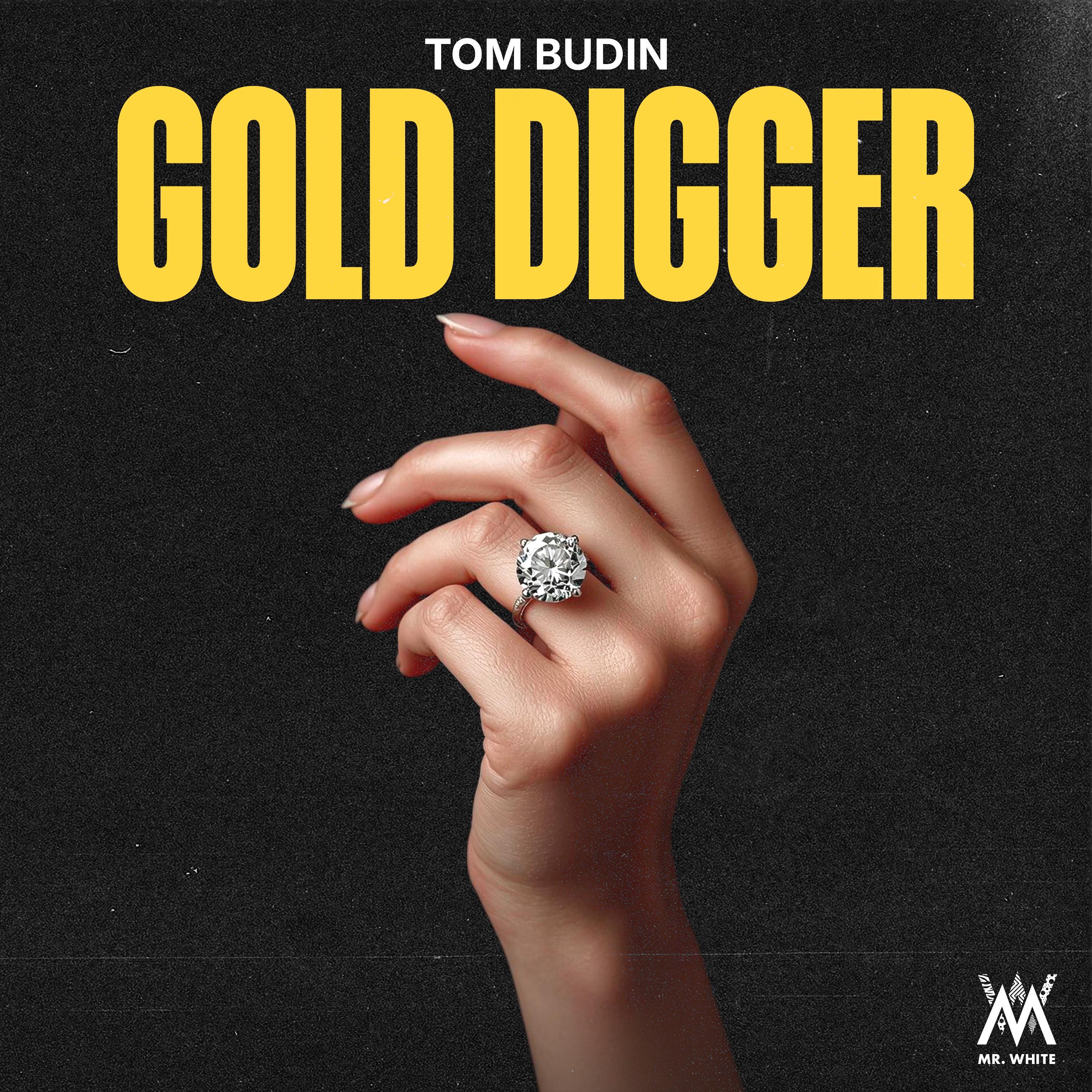 Techno/Electronic/Glitch Hop/Funk/Lab?