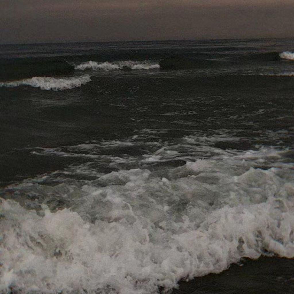 我在空荡荡的房间里听Shiloh Dynasty