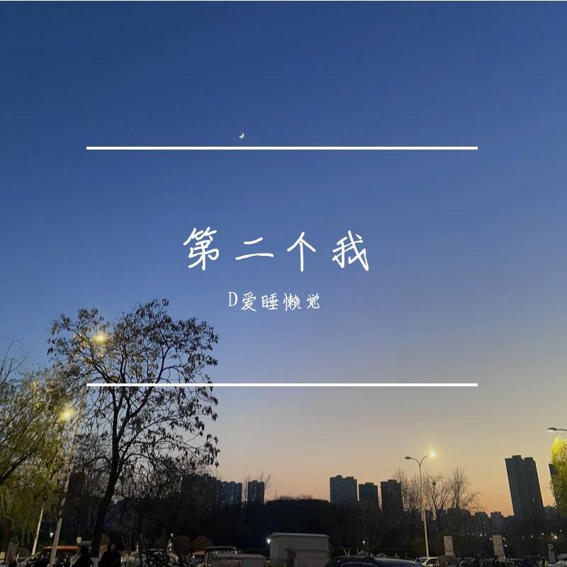第二个我 - D爱睡懒觉封面