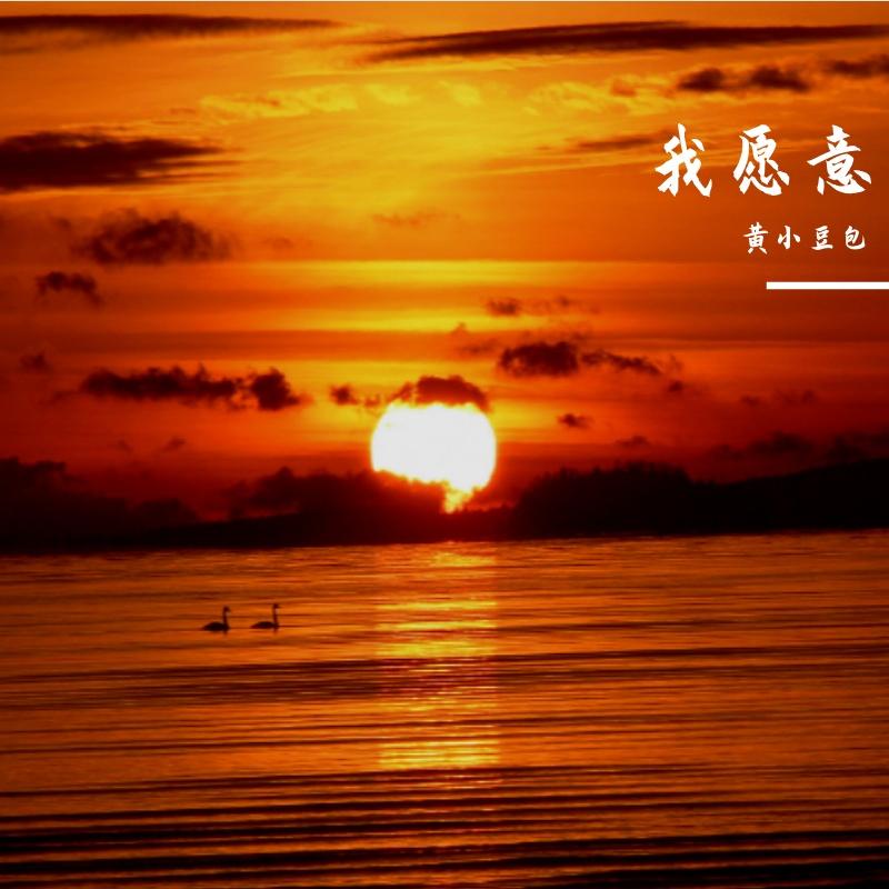 我紧握着你的手封面