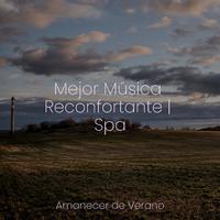 Mejor Música Reconfortante | Spa