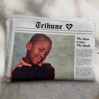 Tribune