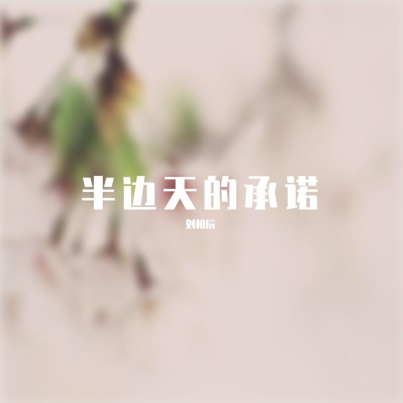 半边天的承诺 伴奏