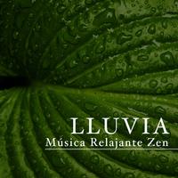 Lluvia: Musica Relajante Zen, Música de Relajacion y Meditación