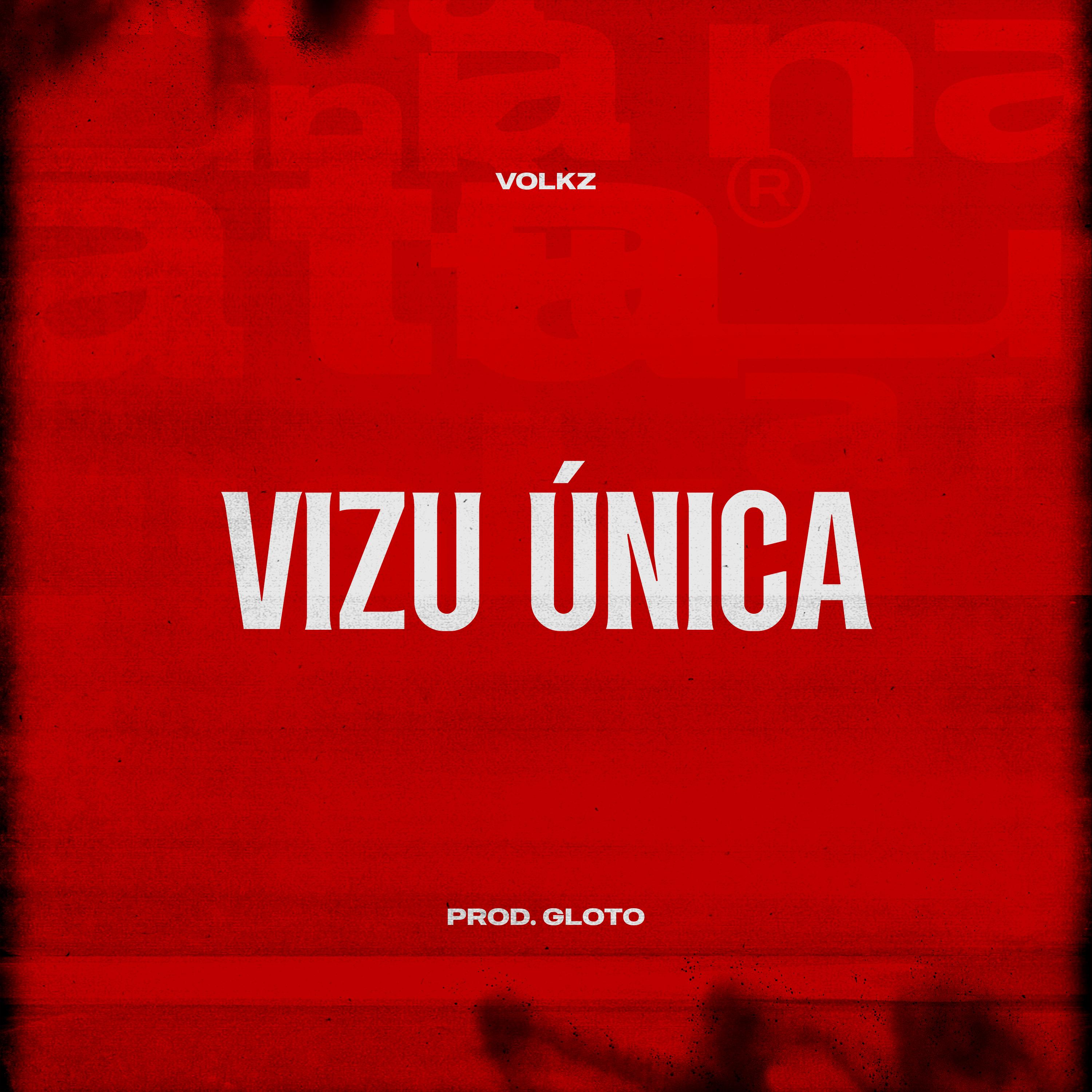 Vizu Única