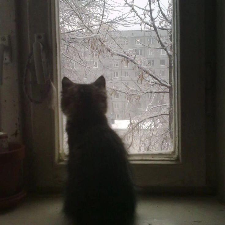 Meant nothing?(Prod.Elisheal)