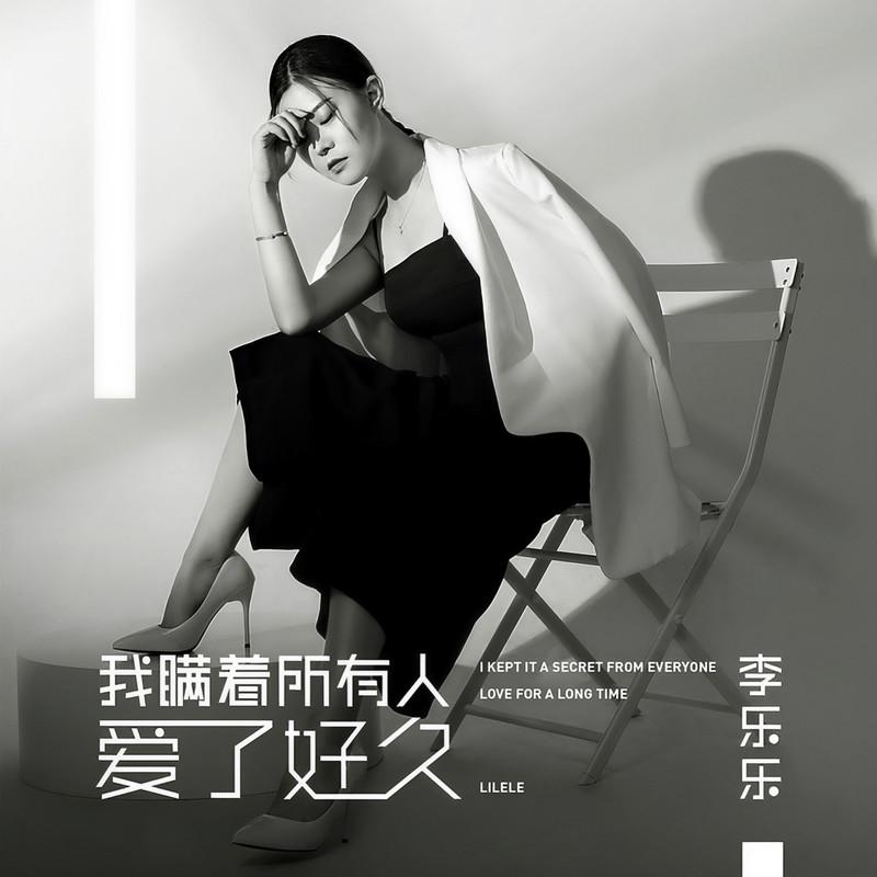 我瞒着所有人爱了你好久封面