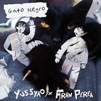 Gato negro