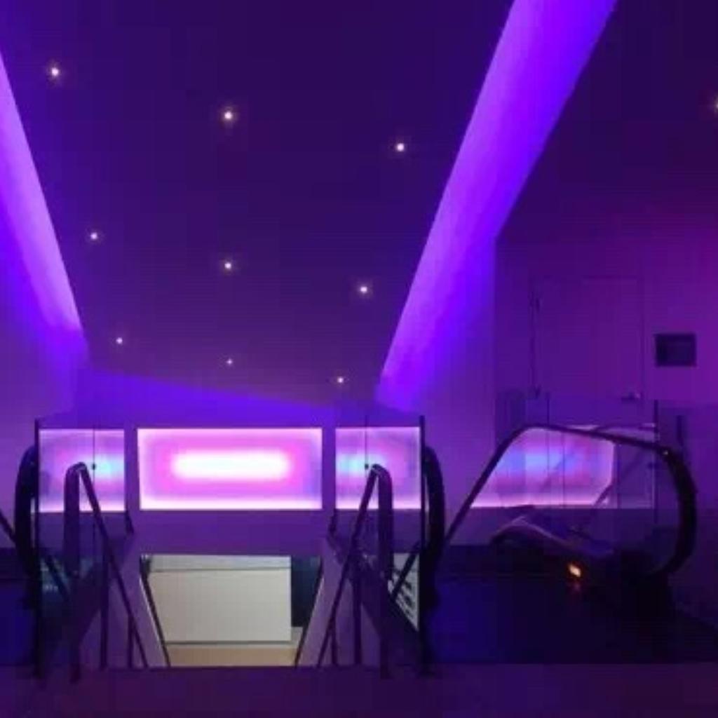 Electro House/Dutch House/Big Room/EDM