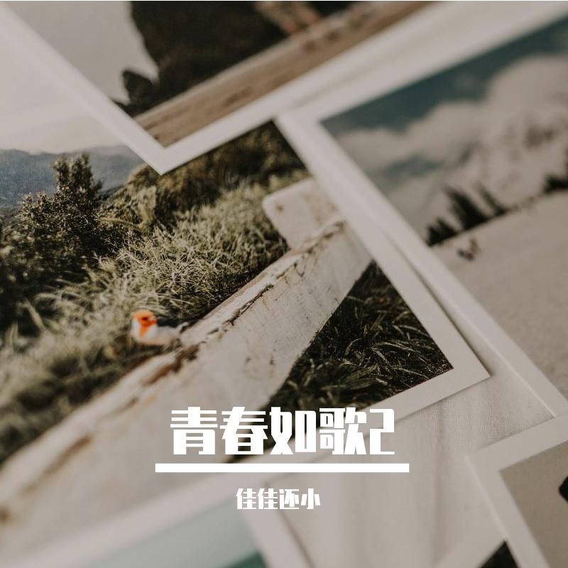 麦浪封面