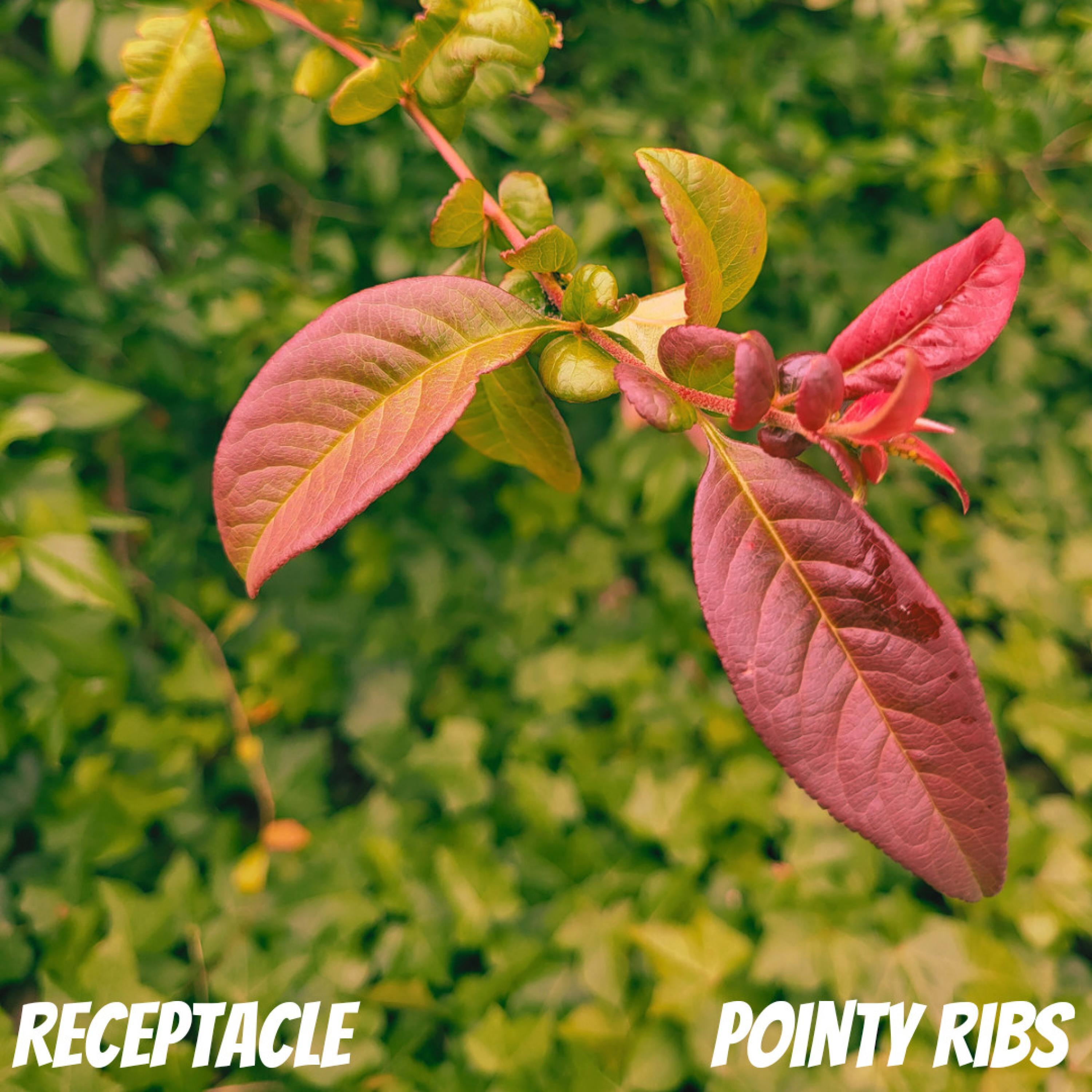 I Hope You Know I'm Suffering