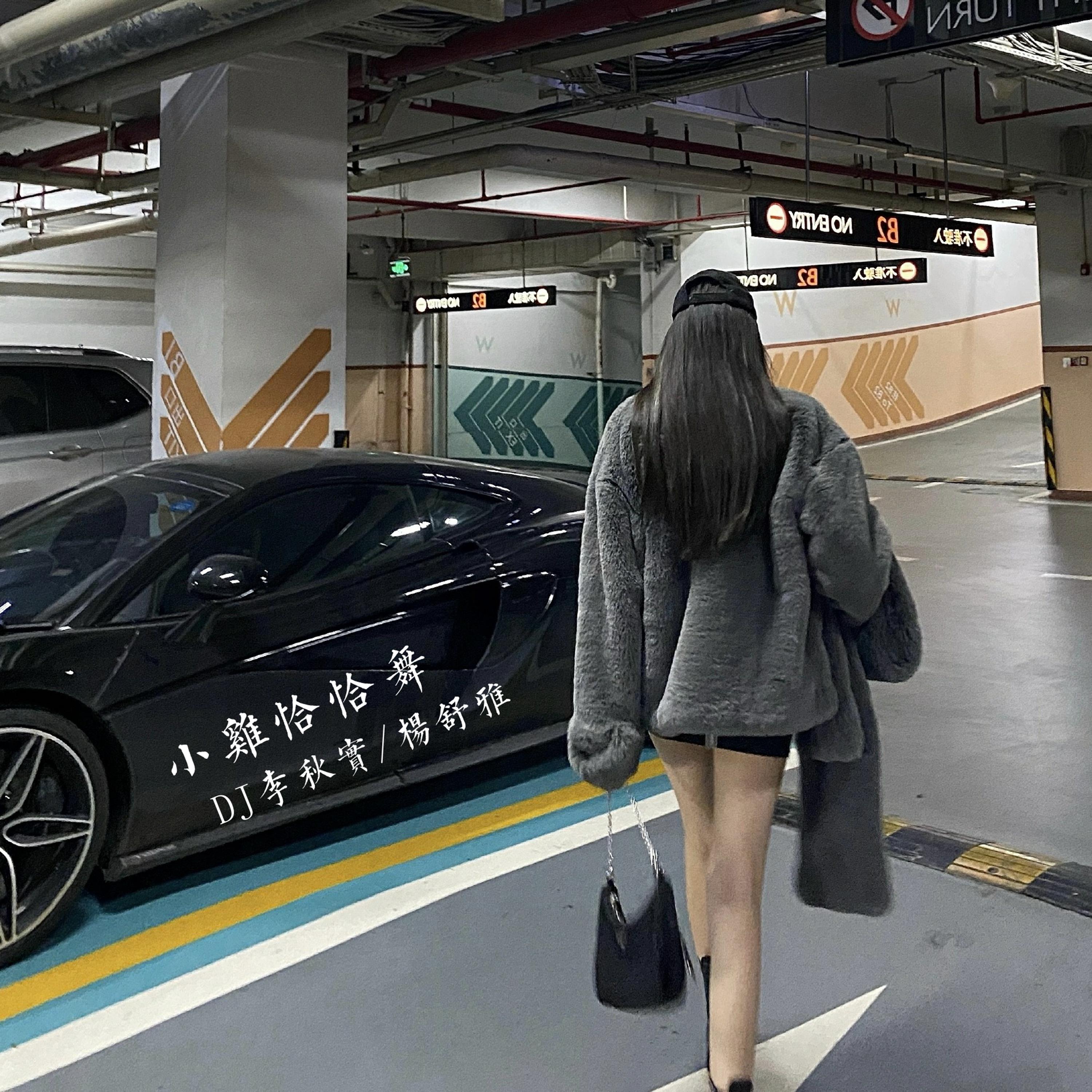 小雞恰恰舞 (DJ版) banner