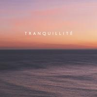 Tranquillité (Musique calme pour dormir, spa et massage)