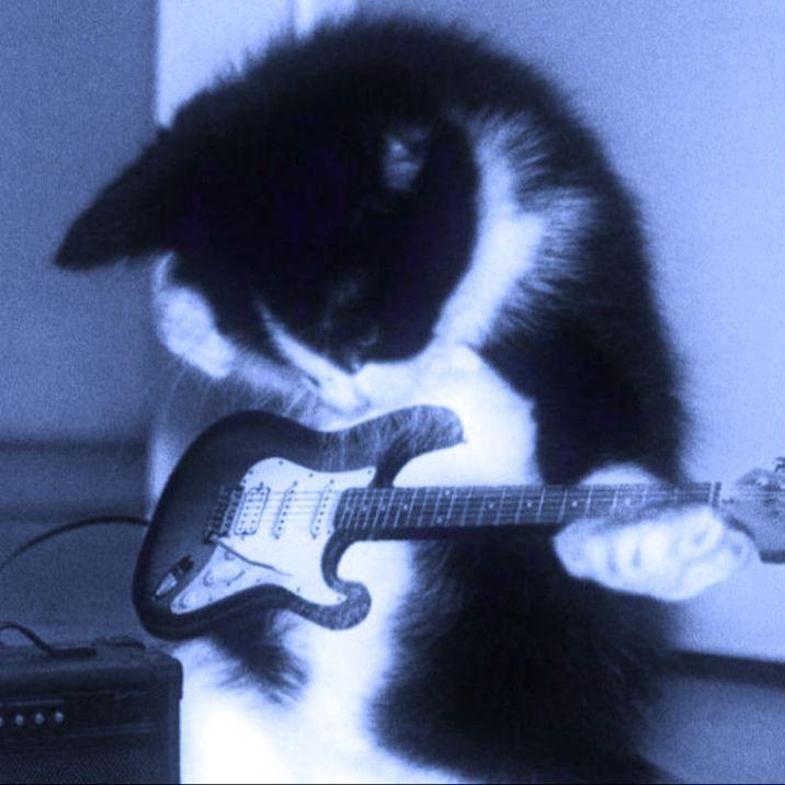 (FREE)“幻梦” indie rock+河南说唱之神+pop punk - Type beat