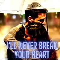 I'll Never Break Your Heart