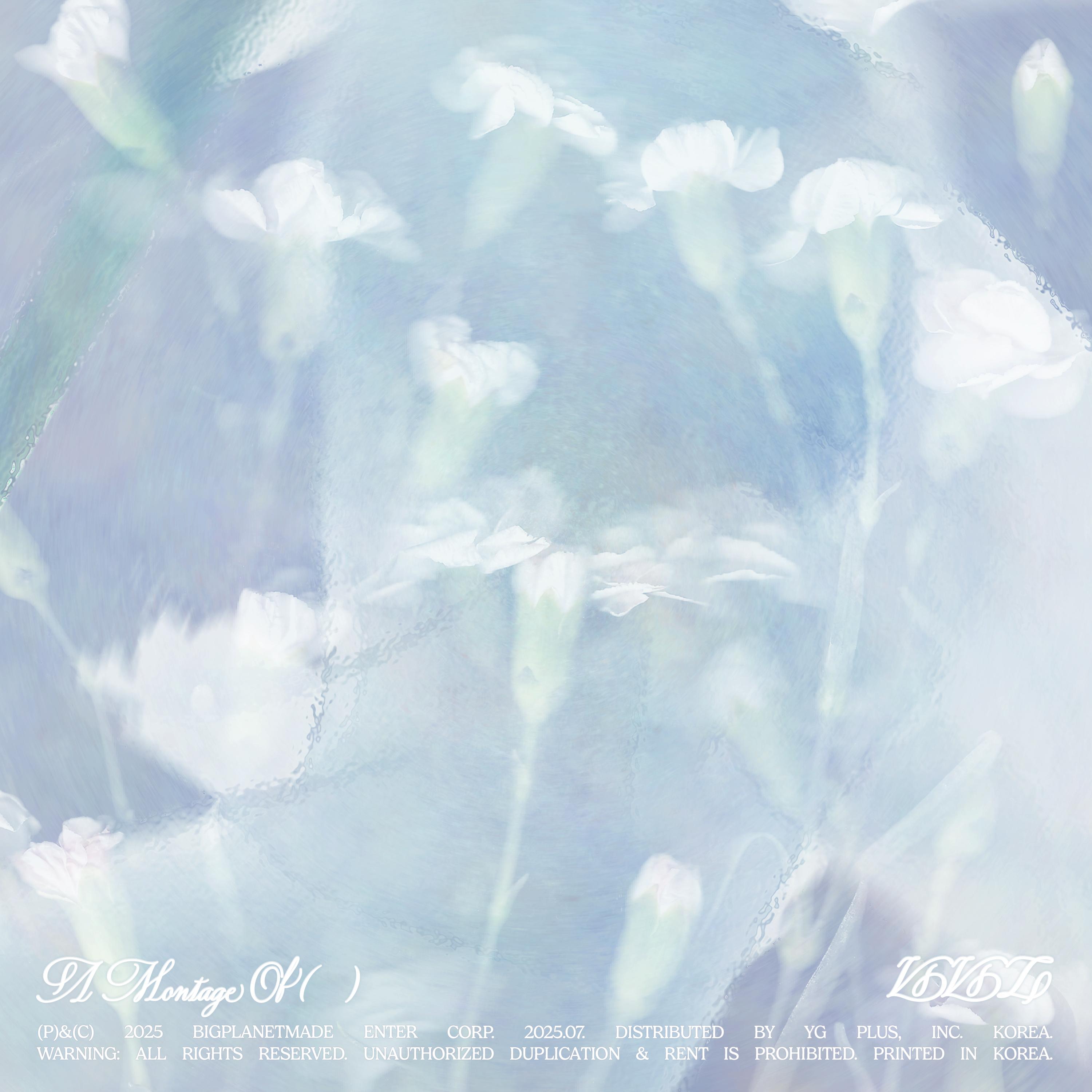 Hipnotic (SINB Solo)