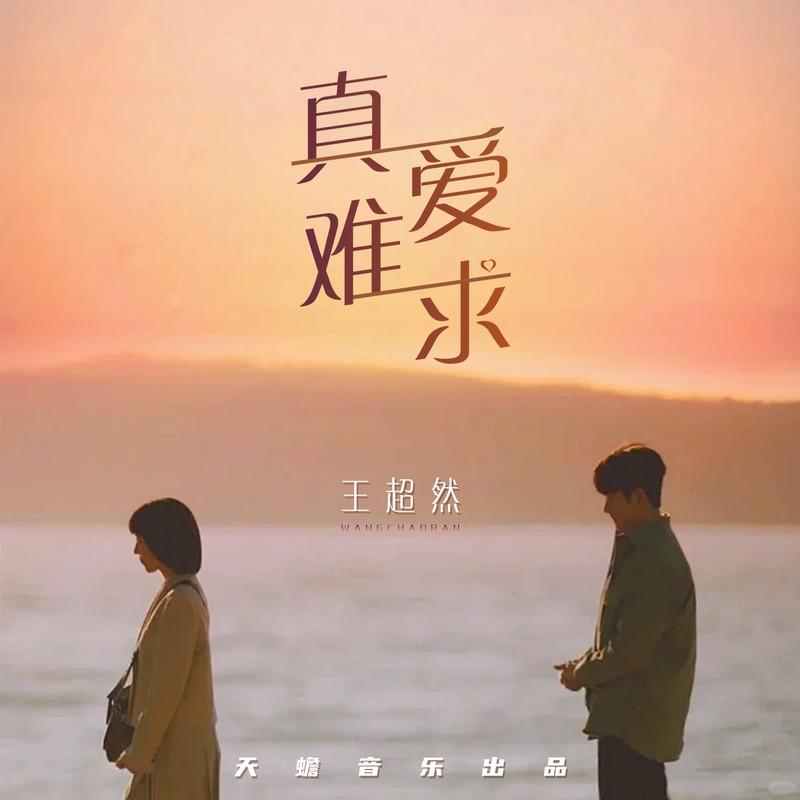 真爱难求 (DJ版) - 王超然封面