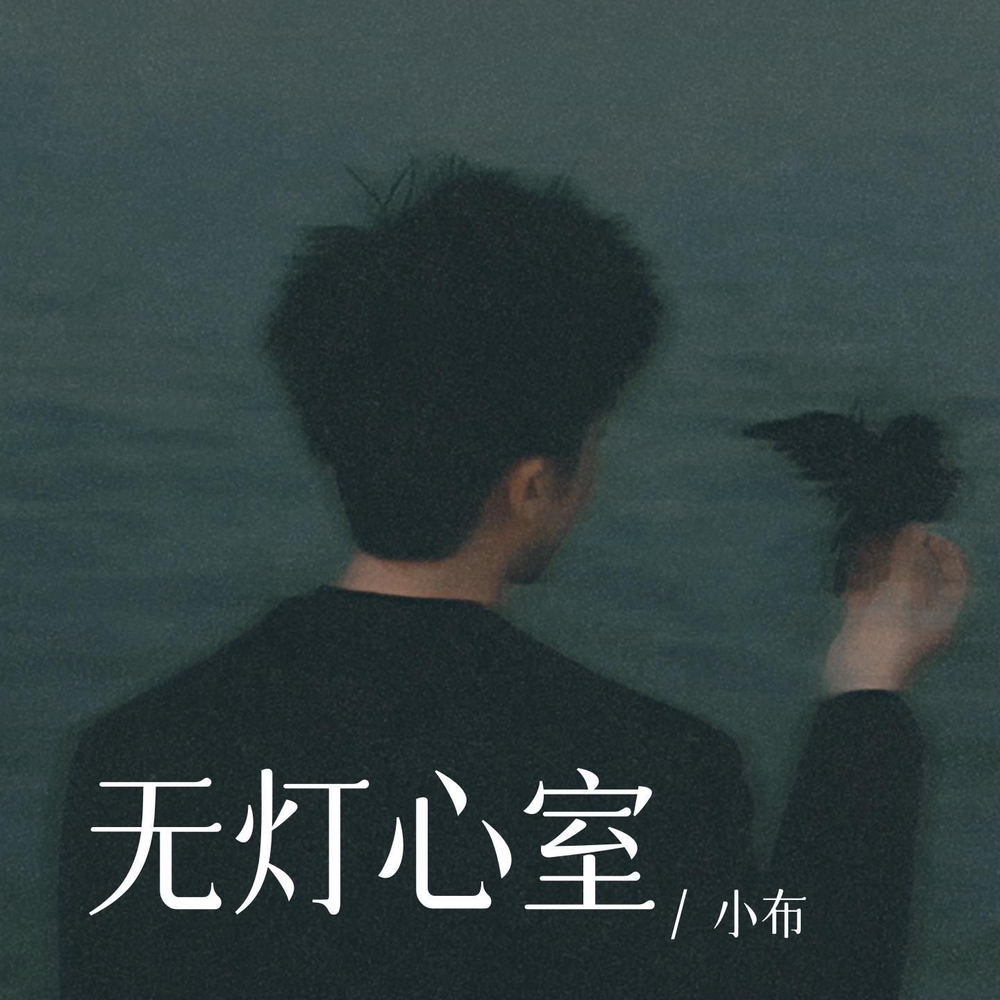 无灯心室（无所谓我总是学不会） (0.8X)封面