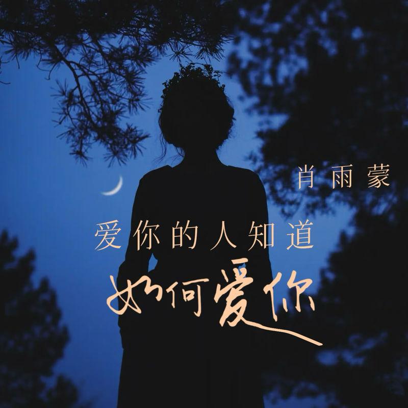 爱你的人知道如何爱你 (DJ豪大大版伴奏) - 肖雨蒙封面