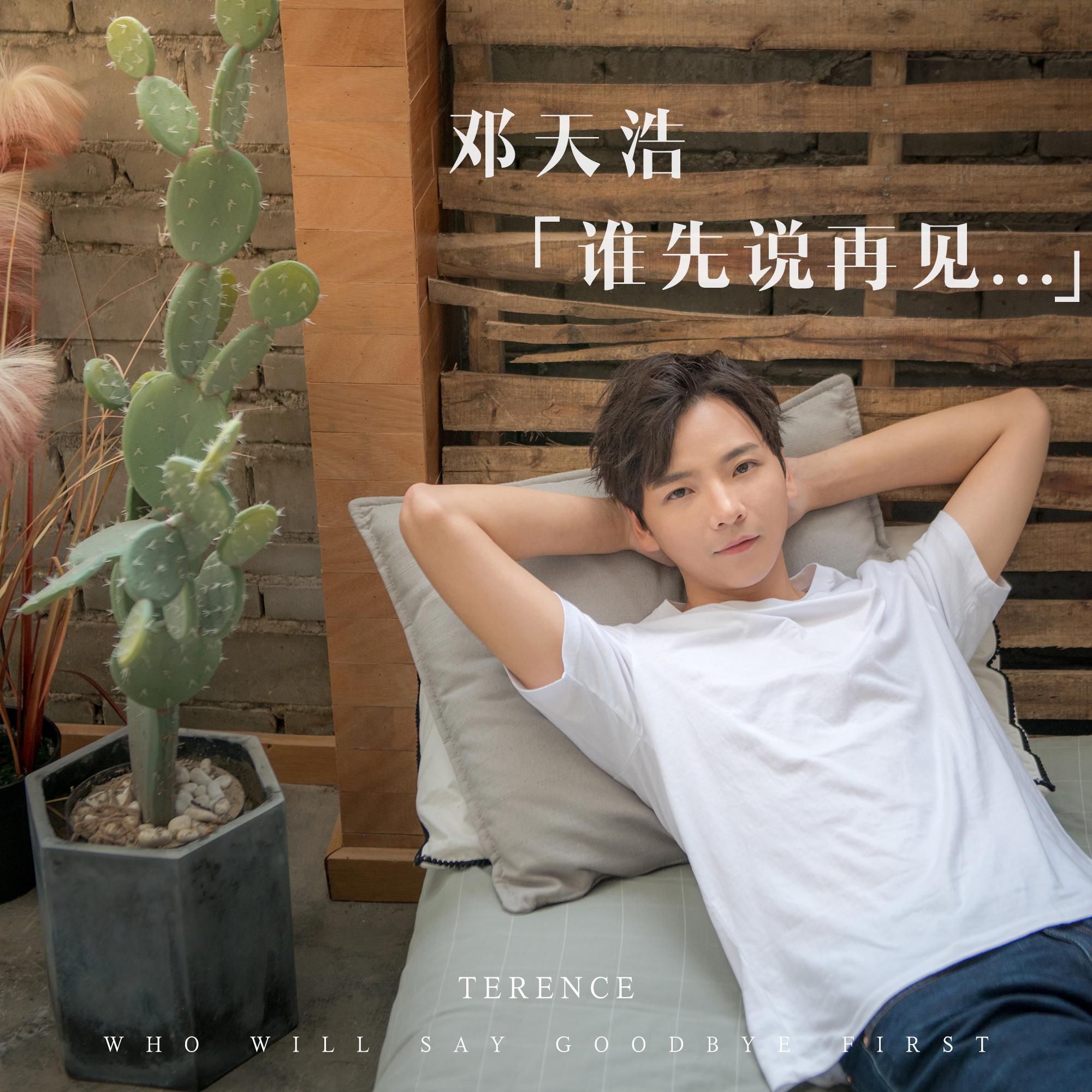 谁先说再见封面