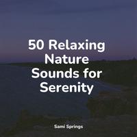 50 Relaxing Nature Sounds for Serenity