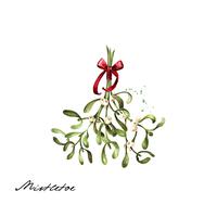 Mistletoe