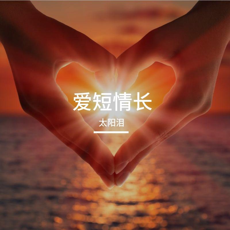 相顾无言封面