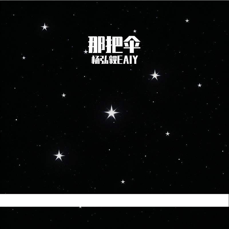 那把伞封面
