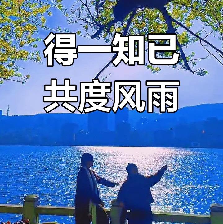 幸得知己共流年.wav封面
