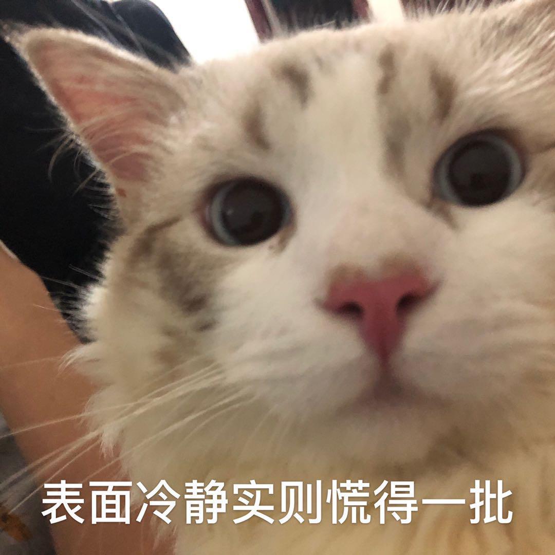 等你的日子不值一提封面