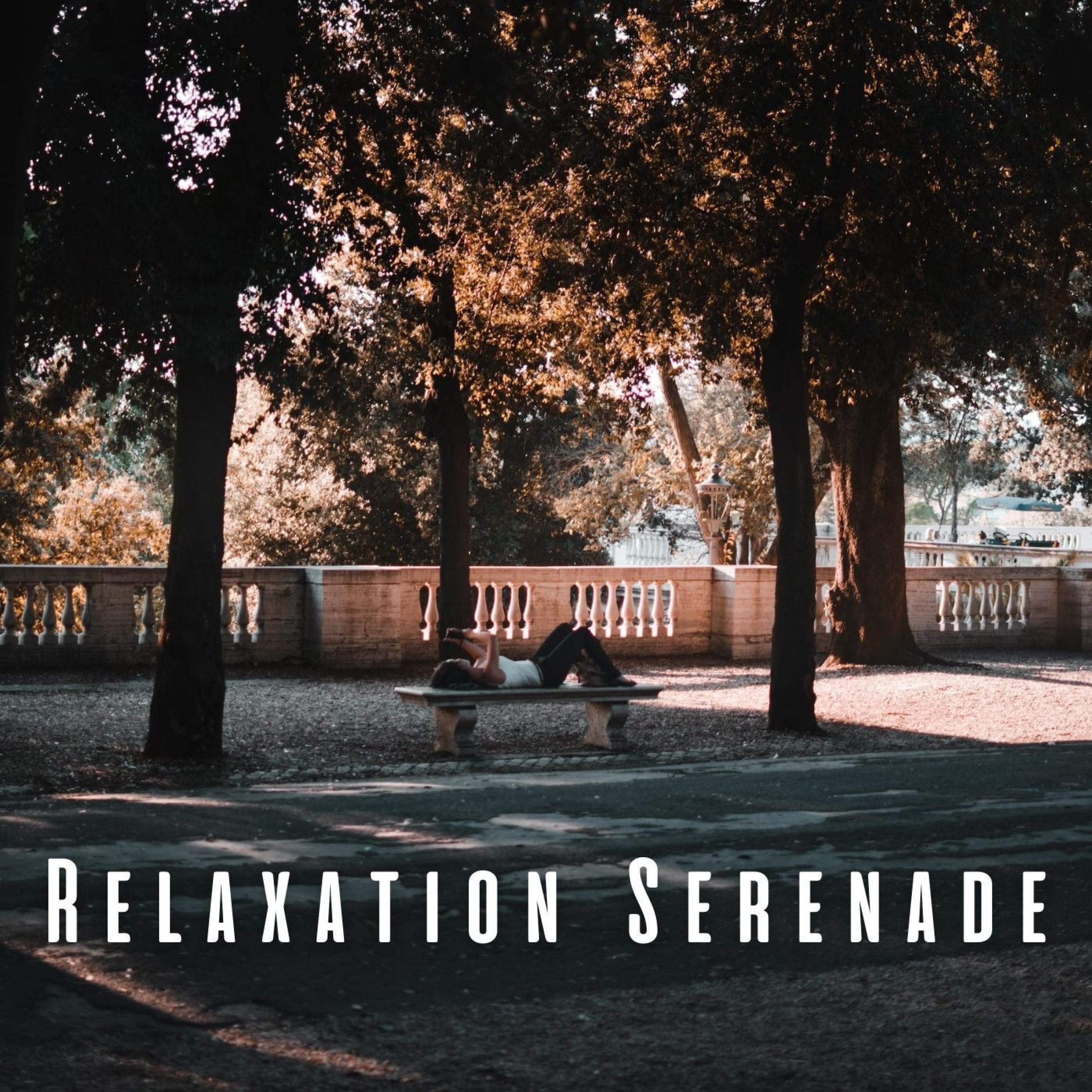 Serene Records_Chill Out 2020_Relaxation Serenade: Peaceful Music Retreat | 在线播放_Serene Records歌词_Serene Records下载 | 网易云音乐