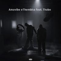 Amavibe eThembisa (feat. Thabo)