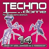 Technodome 14