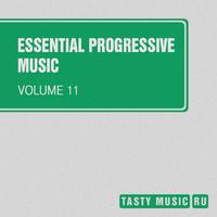 Essential Progressive Music, Vol. 11