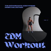 EDM Workout - The Enthusiastic And Fitness Music Collection, Vol 17