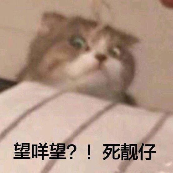 万般非类徒劳力