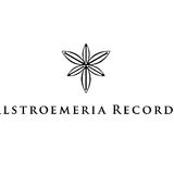 Alstroemeria Records