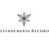 Alstroemeria Records