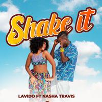 Shake It (feat. Nasha Travis)