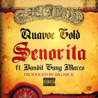 Senorita (feat. Bandit Gang Marco)