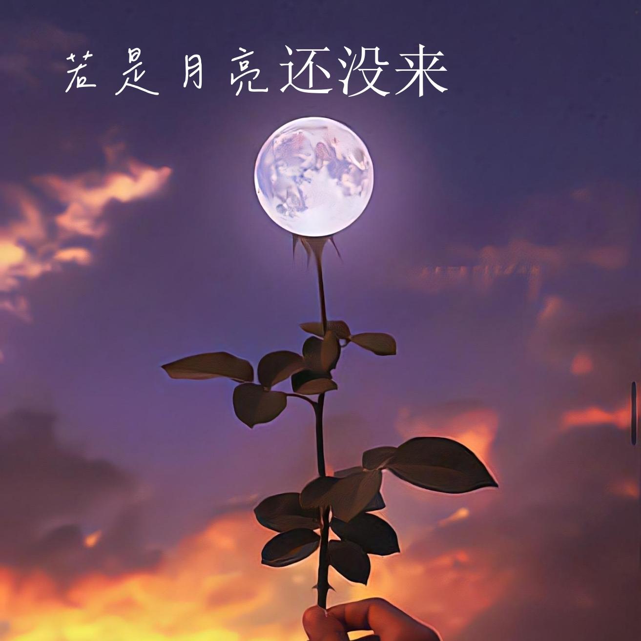若月亮没来 (DJ版)封面