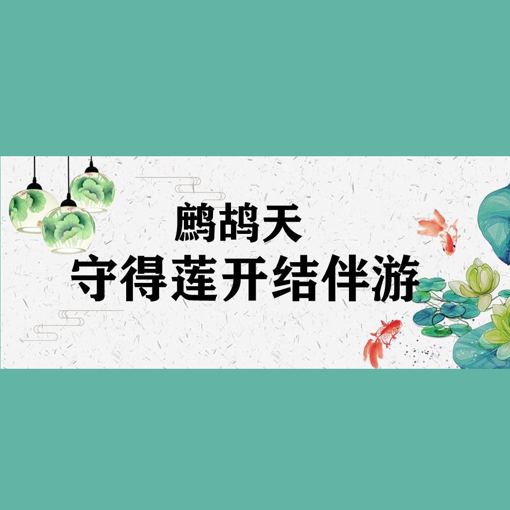 鹧鸪天-守得莲开结伴游 伴奏 - 朱思敏封面