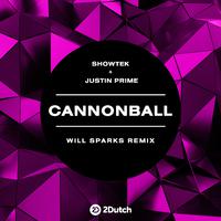 Cannonball (Will Sparks Remix)